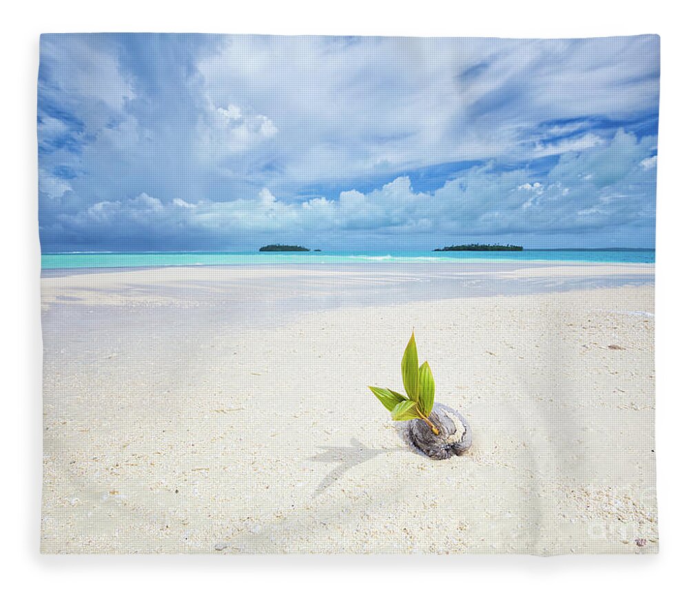 Coconut Fleece Blanket featuring the photograph To Be a Coconut by Becqi Sherman
