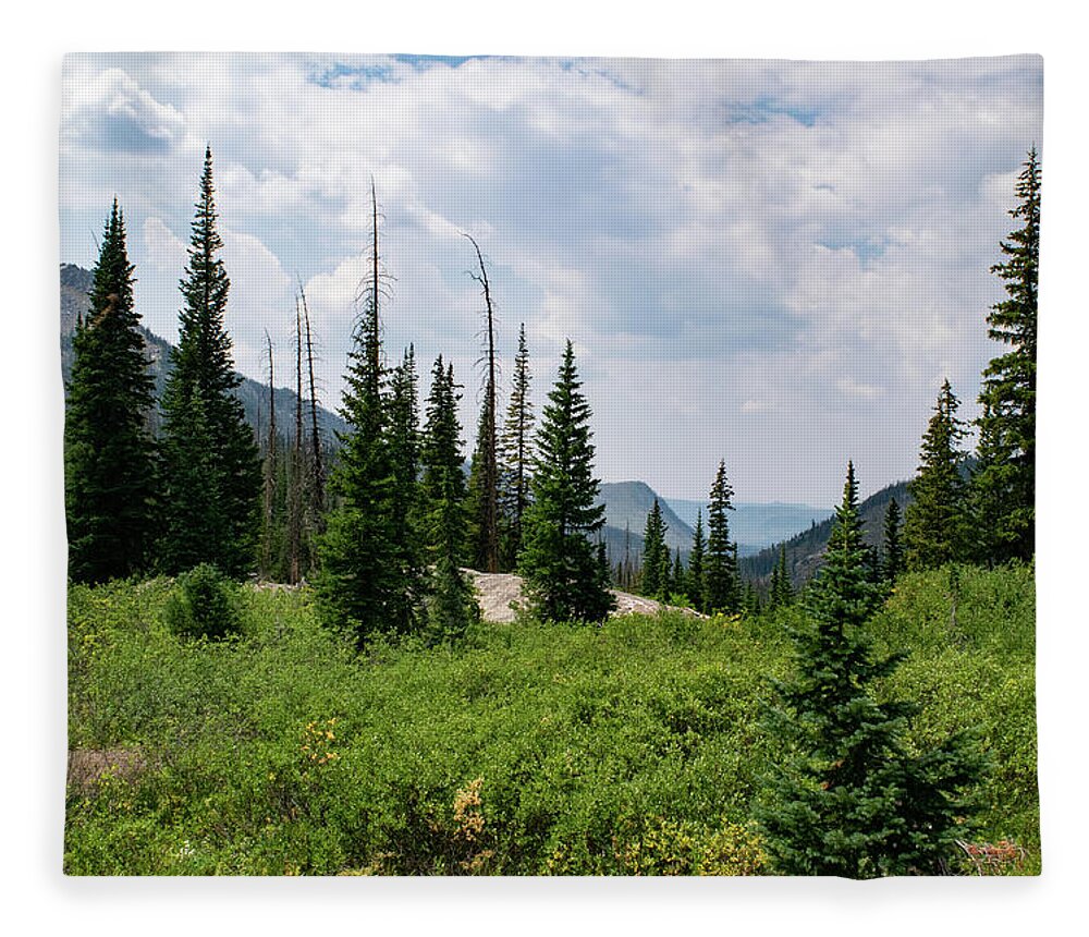 Mountain Fleece Blanket featuring the photograph Trail to Gilpin Lake by Nicole Lloyd