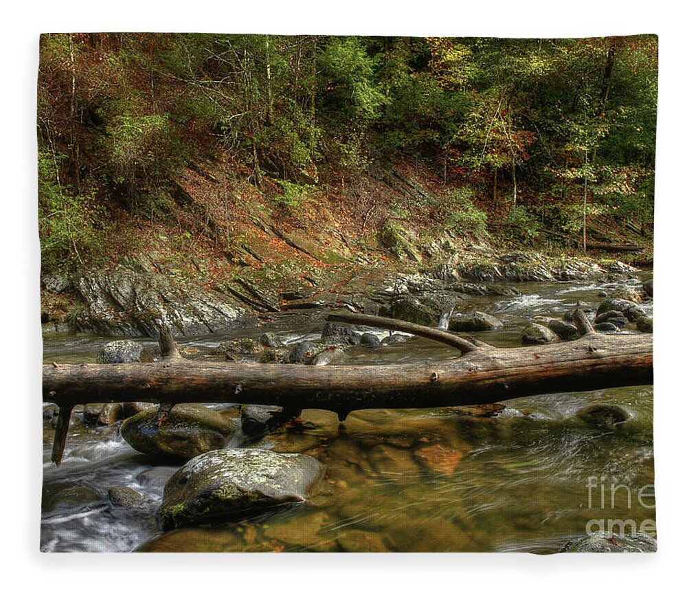 Tree Fleece Blanket featuring the photograph Tree Across The River by Mike Eingle