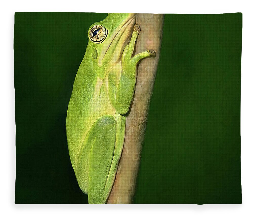 Frog Fleece Blanket featuring the photograph Tree Frog Attitude by Art Cole