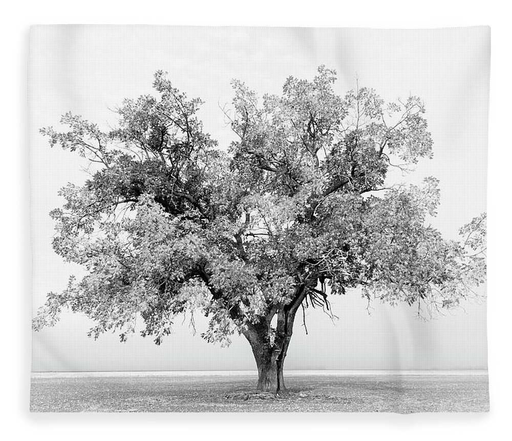Black And White Fleece Blanket featuring the photograph Tree in Monochrome by Catherine Avilez