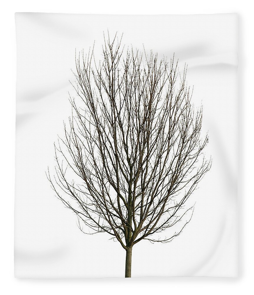 White Background Fleece Blanket featuring the photograph Tree In Winter - Isolated On White by Kerrick