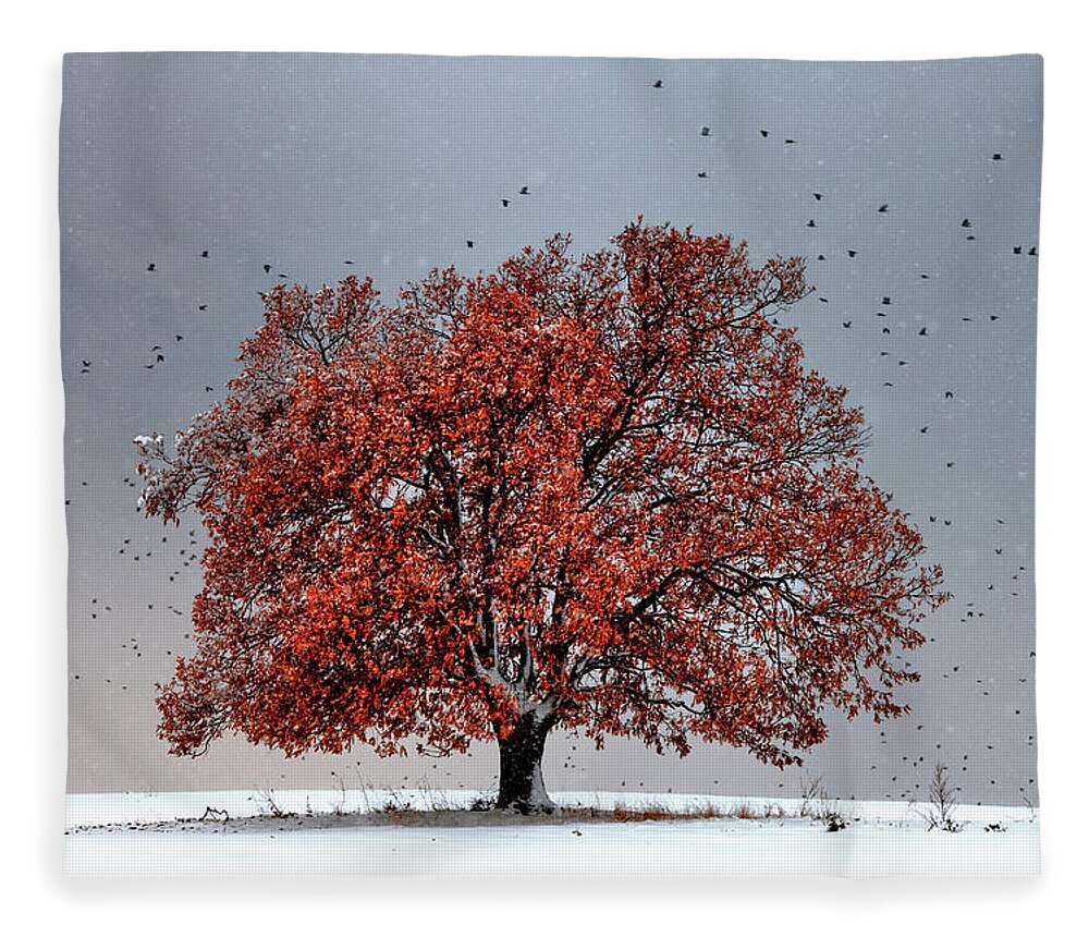 Bulgaria Fleece Blanket featuring the photograph Tree Of Life by Evgeni Dinev