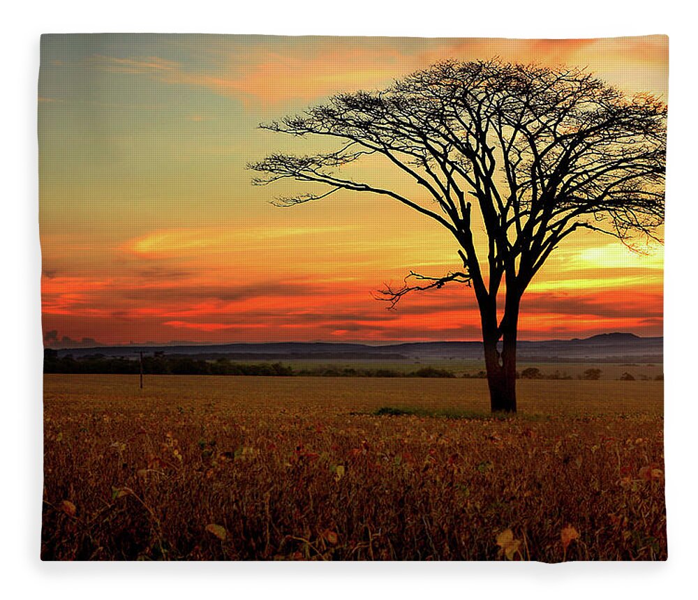 Scenics Fleece Blanket featuring the photograph Tree Silhouette by E.hanazaki Photography