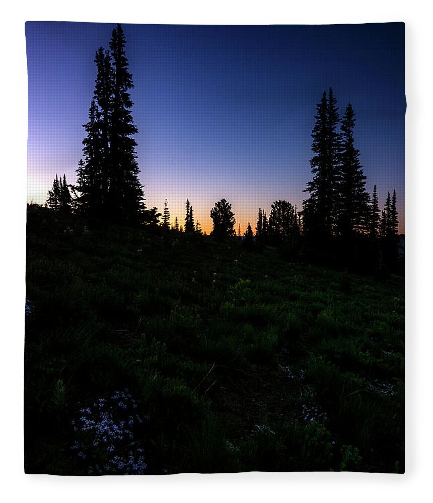 Tree Fleece Blanket featuring the photograph Tree Silhouette Sunrise 2 by Pelo Blanco Photo