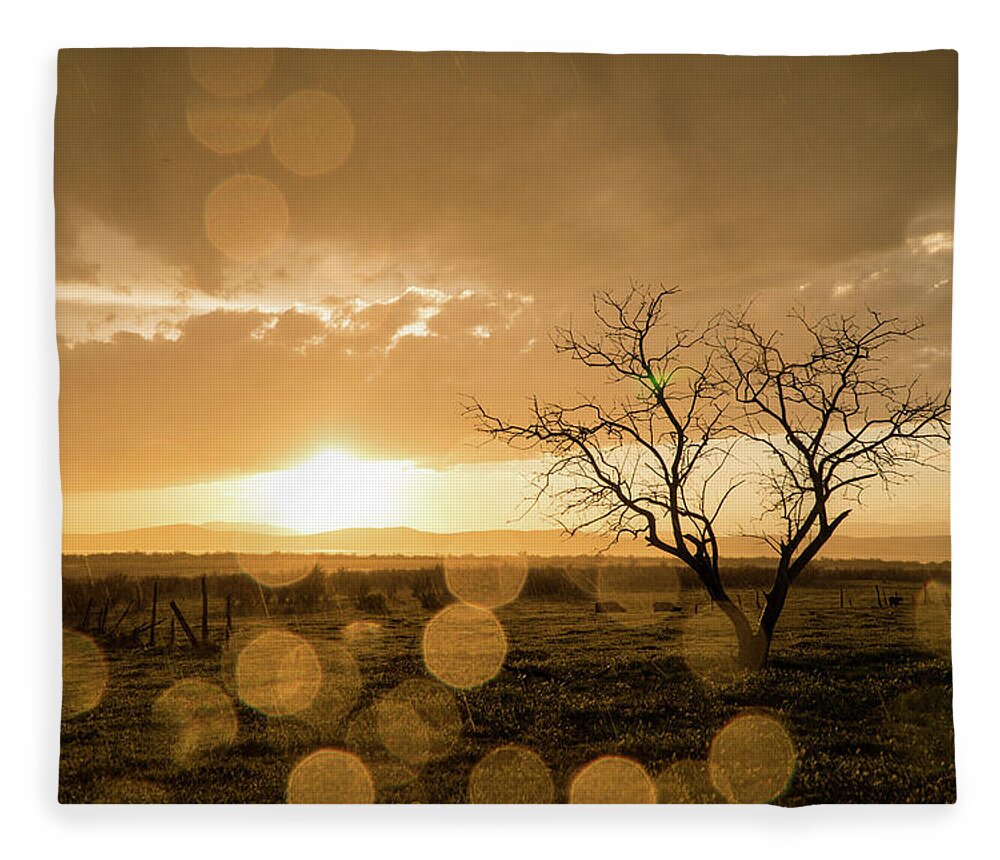 Sunset Fleece Blanket featuring the photograph Tree Sunset by Wesley Aston