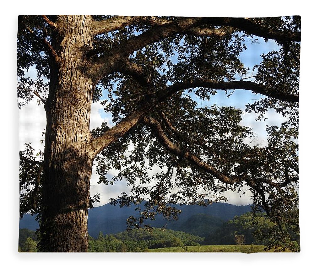 Tree Fleece Blanket featuring the photograph Tree With a View by Kathy Ozzard Chism