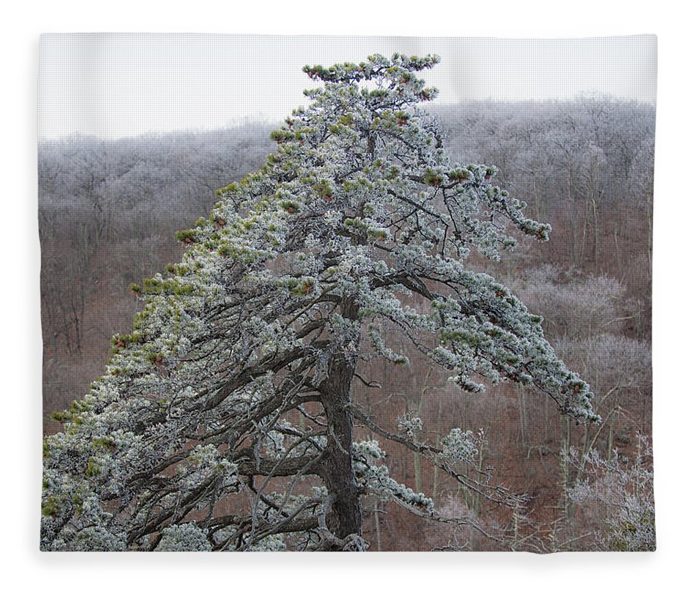 Blue Ridge Fleece Blanket featuring the photograph Tree with Hoarfrost by Mark Duehmig