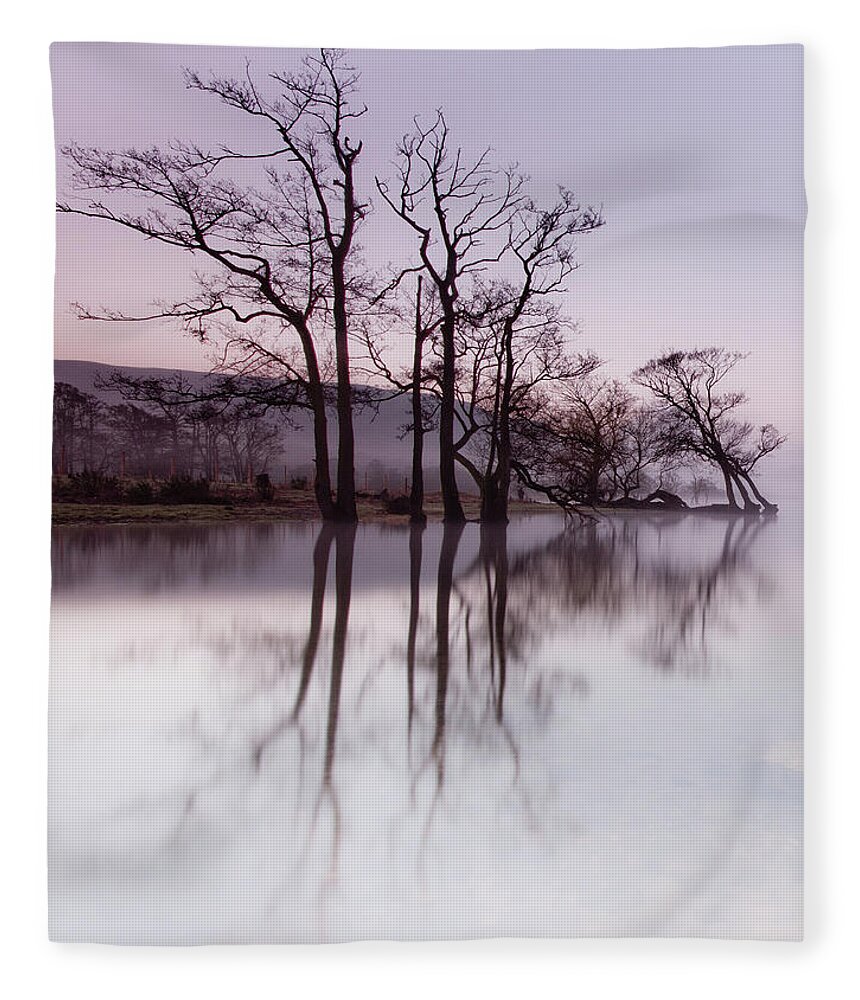 Landscape Fleece Blanket featuring the photograph Trees in the Mist on Lake Ullswater by Anita Nicholson