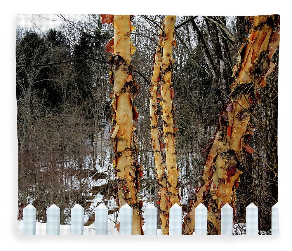 Trees Fleece Blanket featuring the photograph Trees Shedding Their Skin by Linda Stern