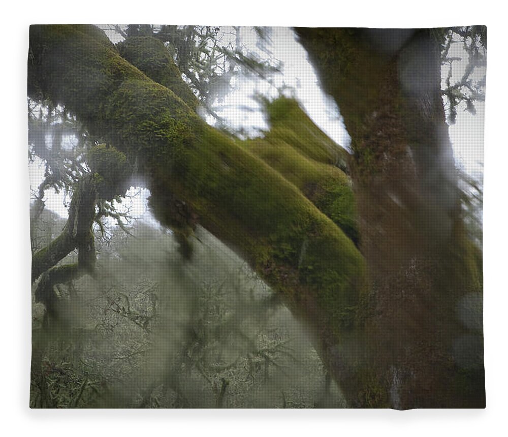 Horror Fleece Blanket featuring the photograph Trees Through Car Windshield In Rain by Diane Miller