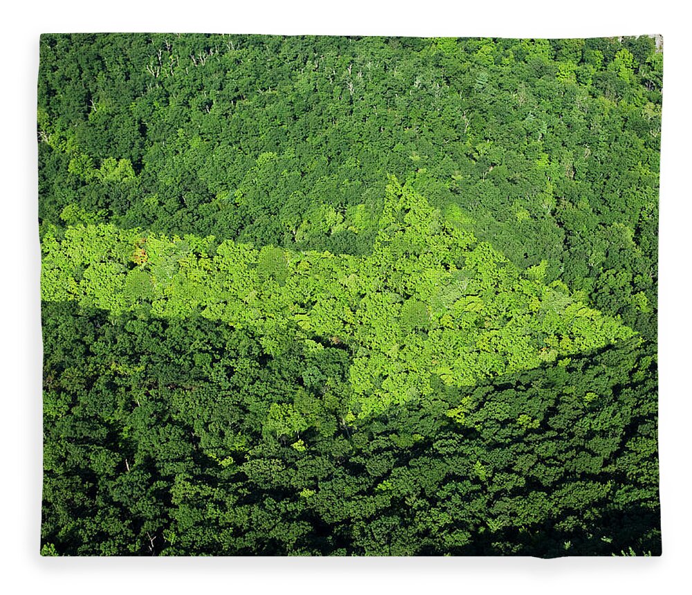 Outdoors Fleece Blanket featuring the photograph Trees With Arrow Shape by Thomas Jackson