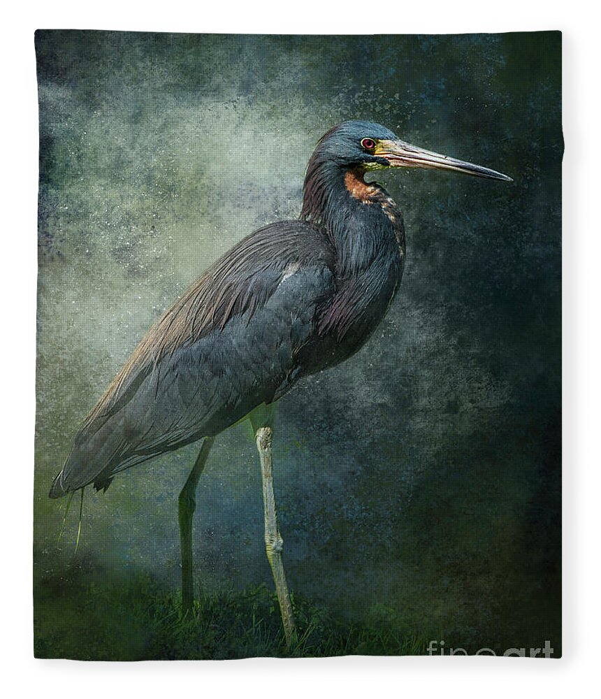 Heron Fleece Blanket featuring the mixed media Tricolor Portrait by Marvin Spates