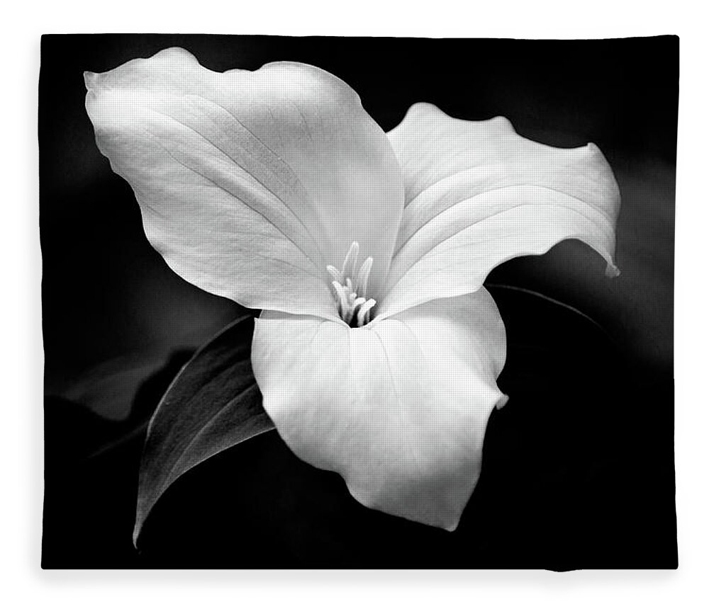 Black And White Fleece Blanket featuring the photograph Trillium Flower Black and White by Christina Rollo