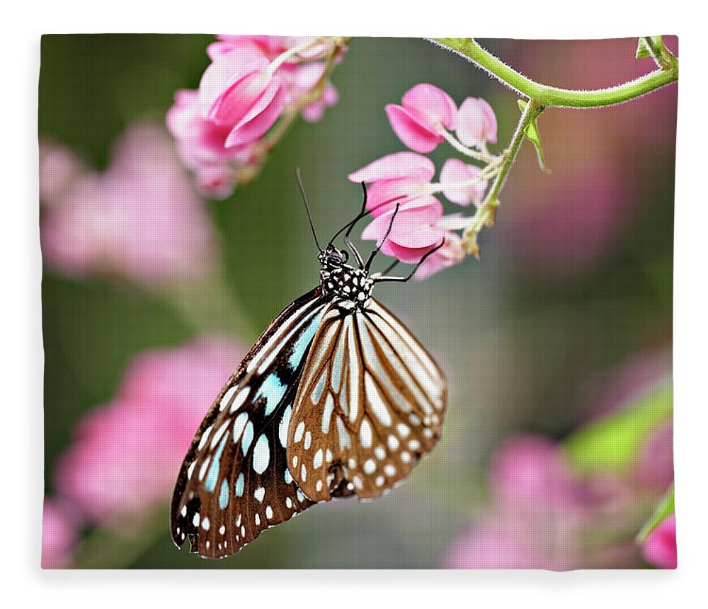 Insect Fleece Blanket featuring the photograph Tropical Butterfly On Flower, Close-up by Wilfried Krecichwost