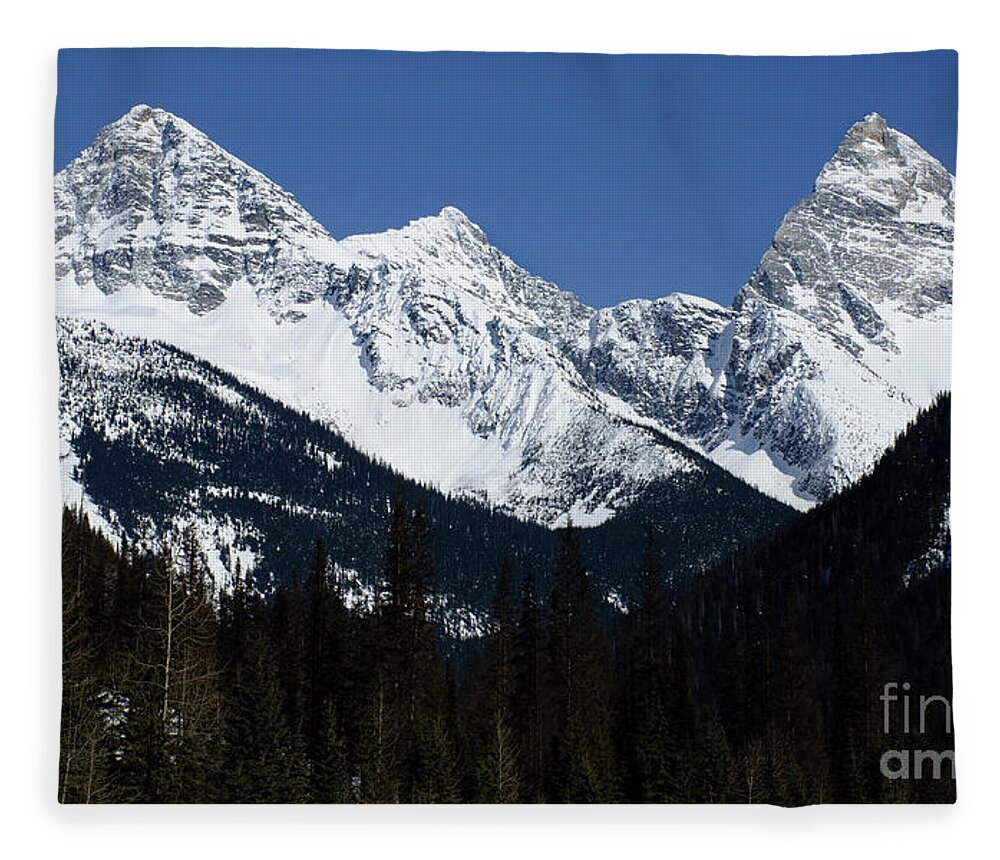  Mountain Fleece Blanket featuring the photograph True North Strong And Free by Bob Christopher
