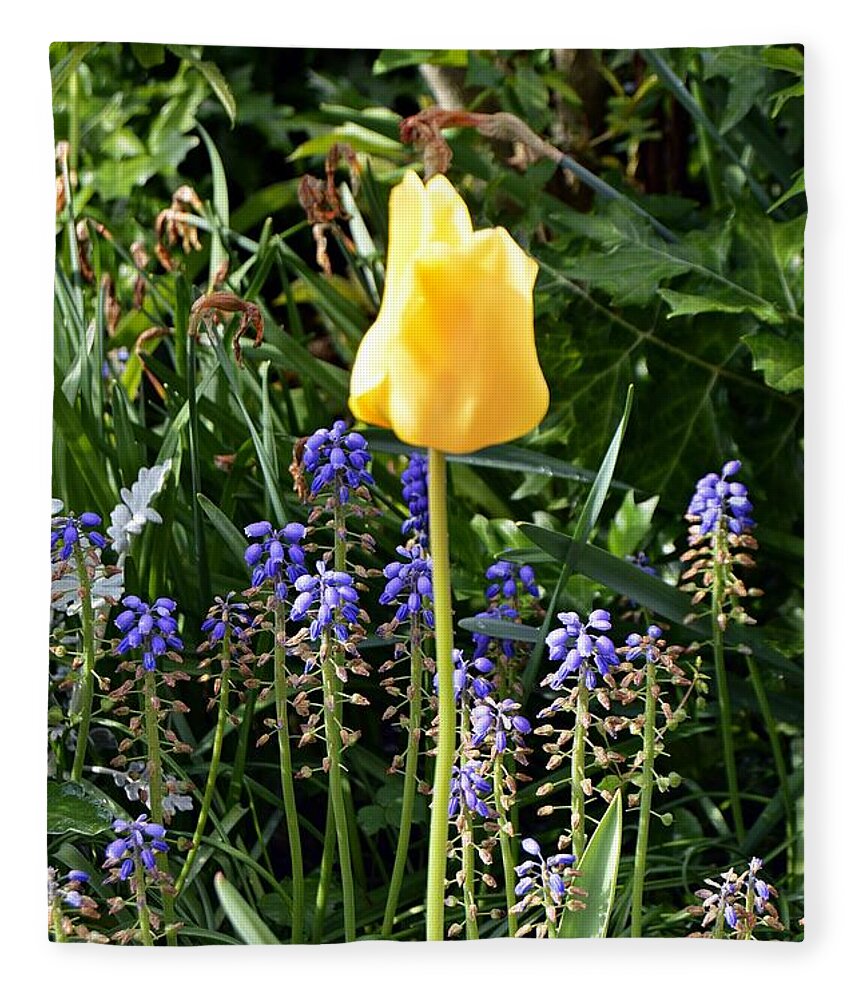 Flower Fleece Blanket featuring the photograph Tulip by Thomas Schroeder