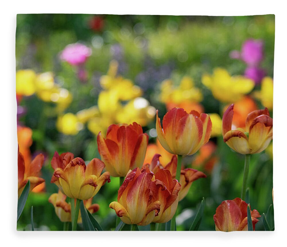 Tulips Fleece Blanket featuring the photograph Tulips and Bokeh by Mary Ann Artz