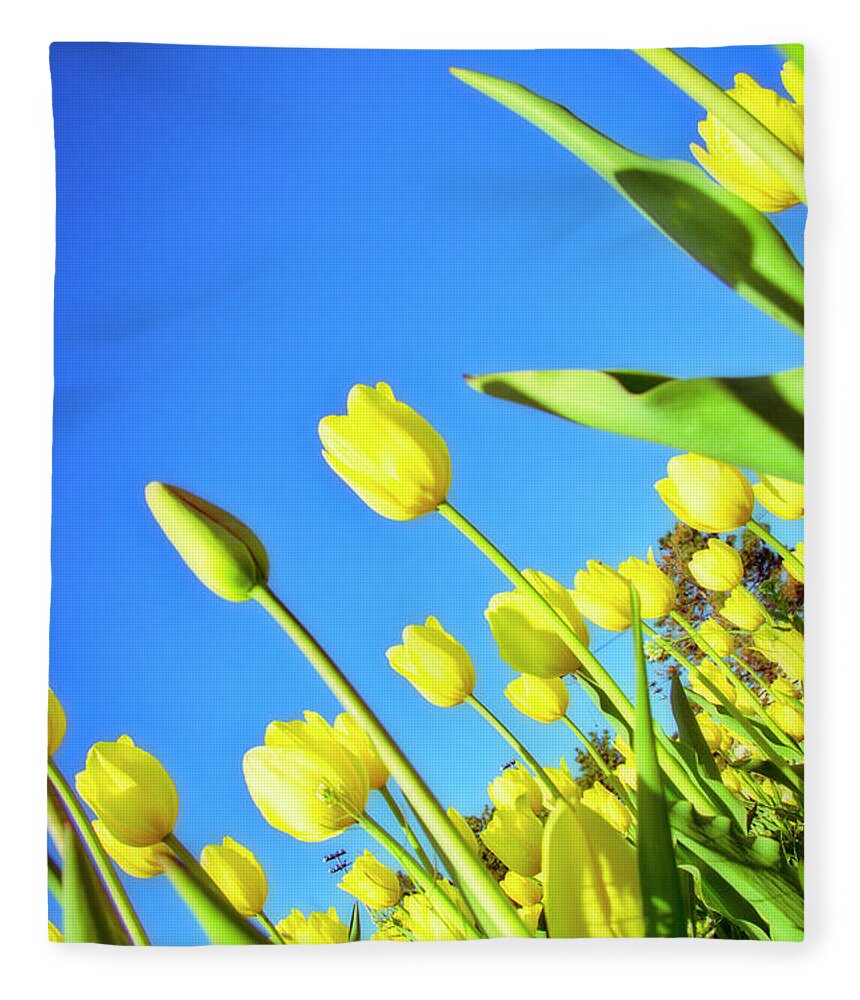 Evie Fleece Blanket featuring the photograph Tulips Holland Michigan 838 by Evie Carrier