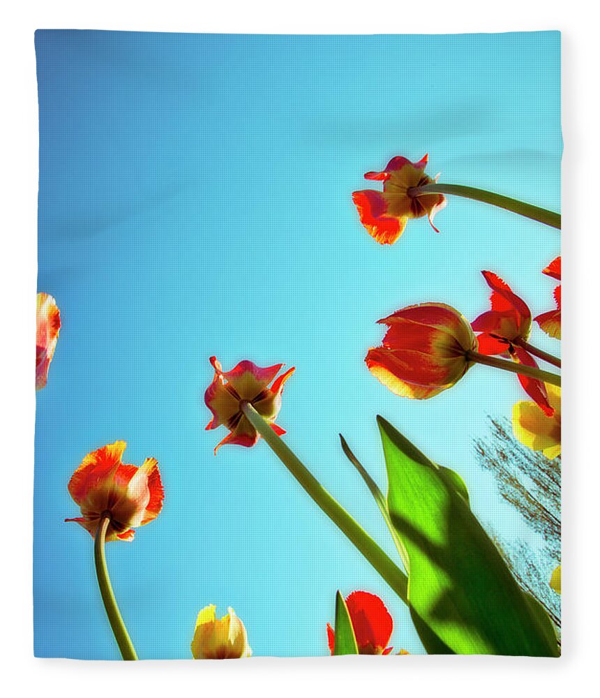 Evie Fleece Blanket featuring the photograph Tulips Holland Michigan 913 by Evie Carrier