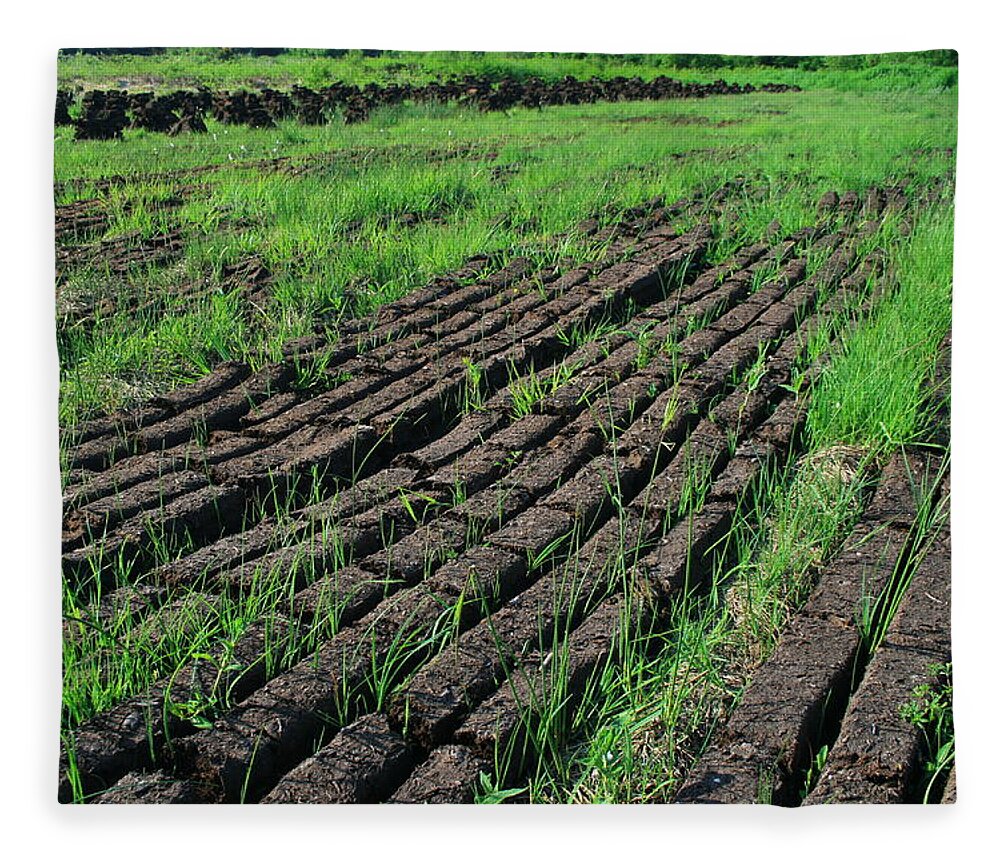Tranquility Fleece Blanket featuring the photograph Turf Drying by Sachin Polassery
