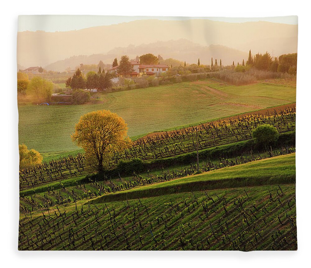 Scenics Fleece Blanket featuring the photograph Tuscan Vinyards by John And Tina Reid