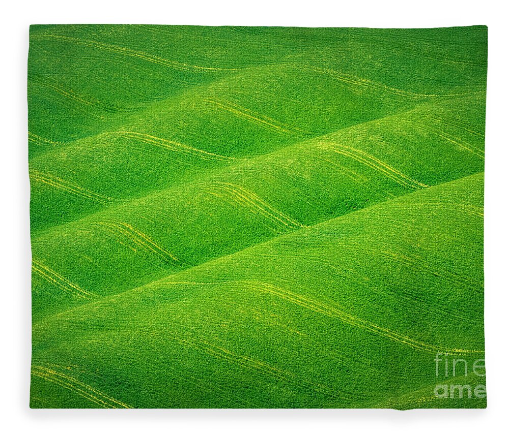 Landscape Fleece Blanket featuring the photograph Tuscany Rolling Grainfield by Heiko Koehrer-Wagner