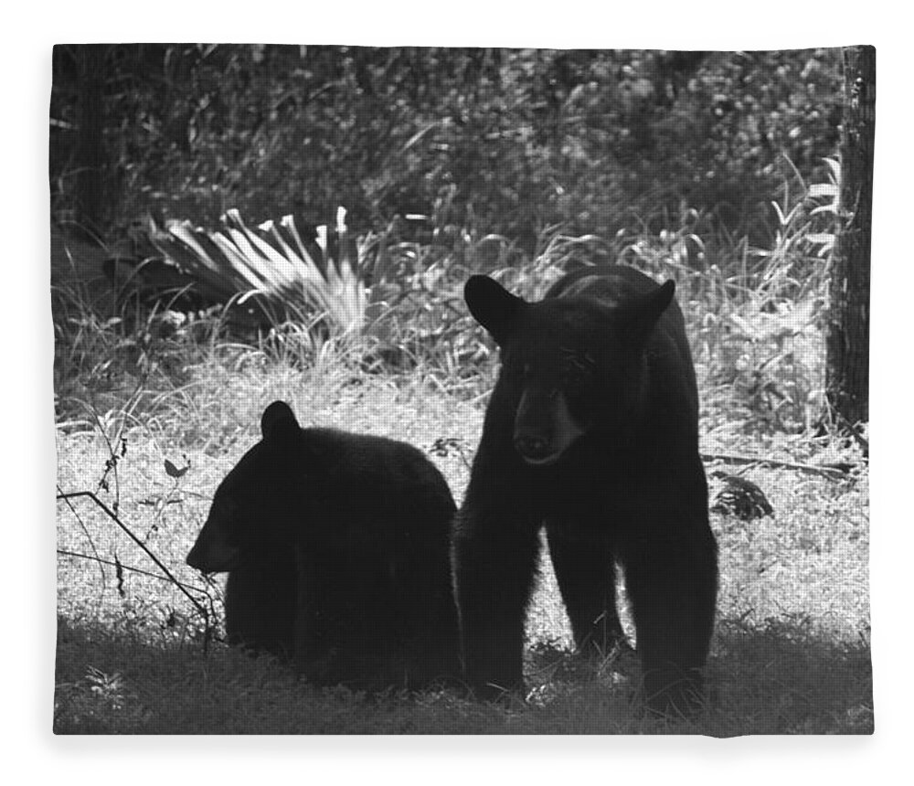 Florida Fleece Blanket featuring the photograph Two Black Bears by Lindsey Floyd