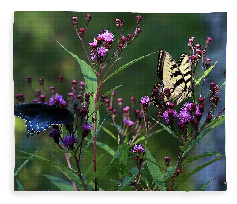 Butterfly Fleece Blanket featuring the photograph Two Butterflies by Carol Montoya