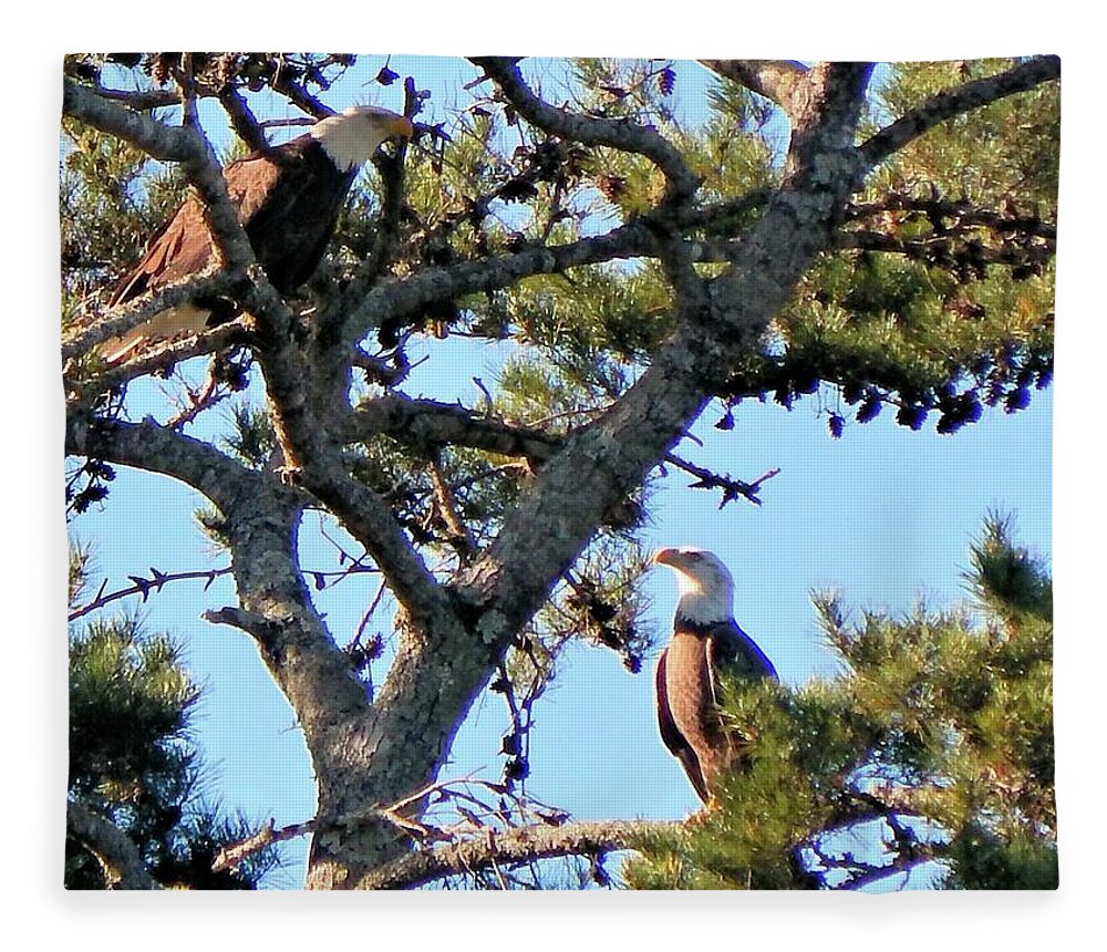 Birds Fleece Blanket featuring the photograph Two Eagles by Karen Stansberry