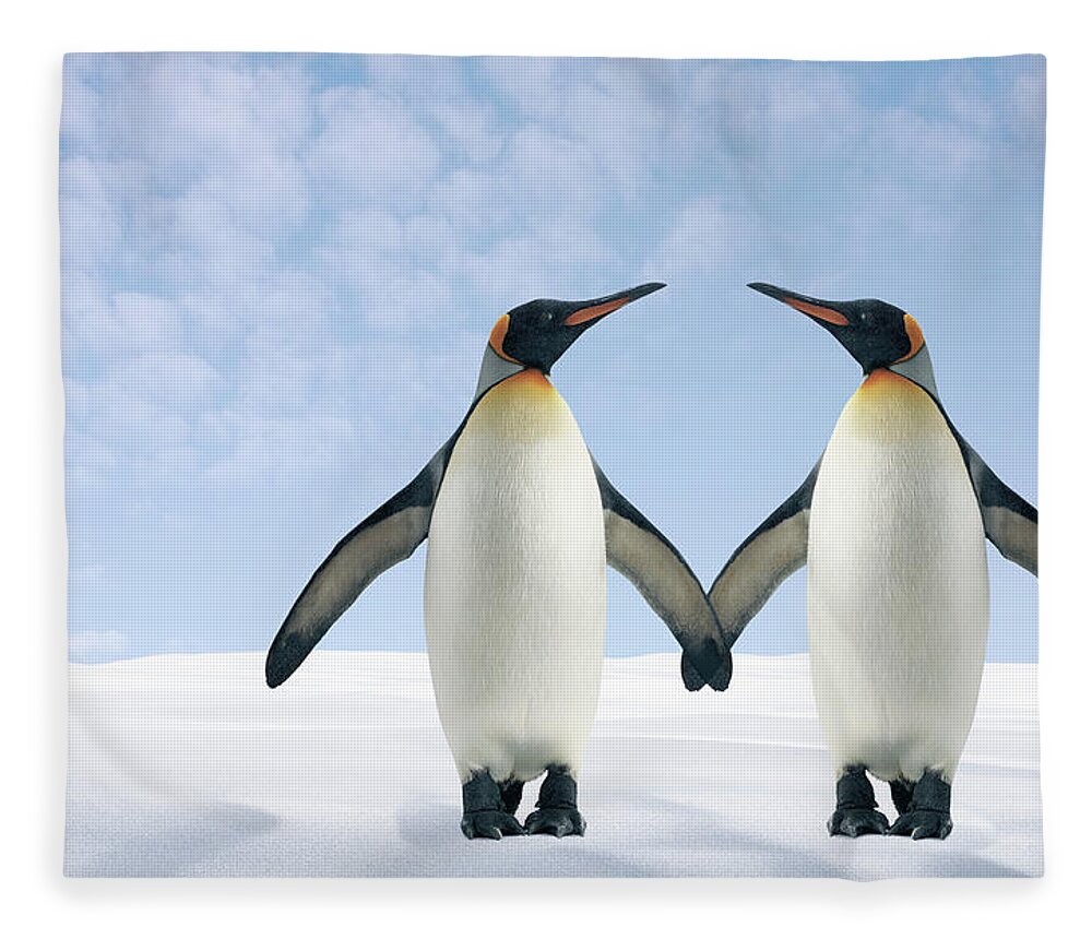 Animal Themes Fleece Blanket featuring the photograph Two Penguins Holding Hands by Fuse