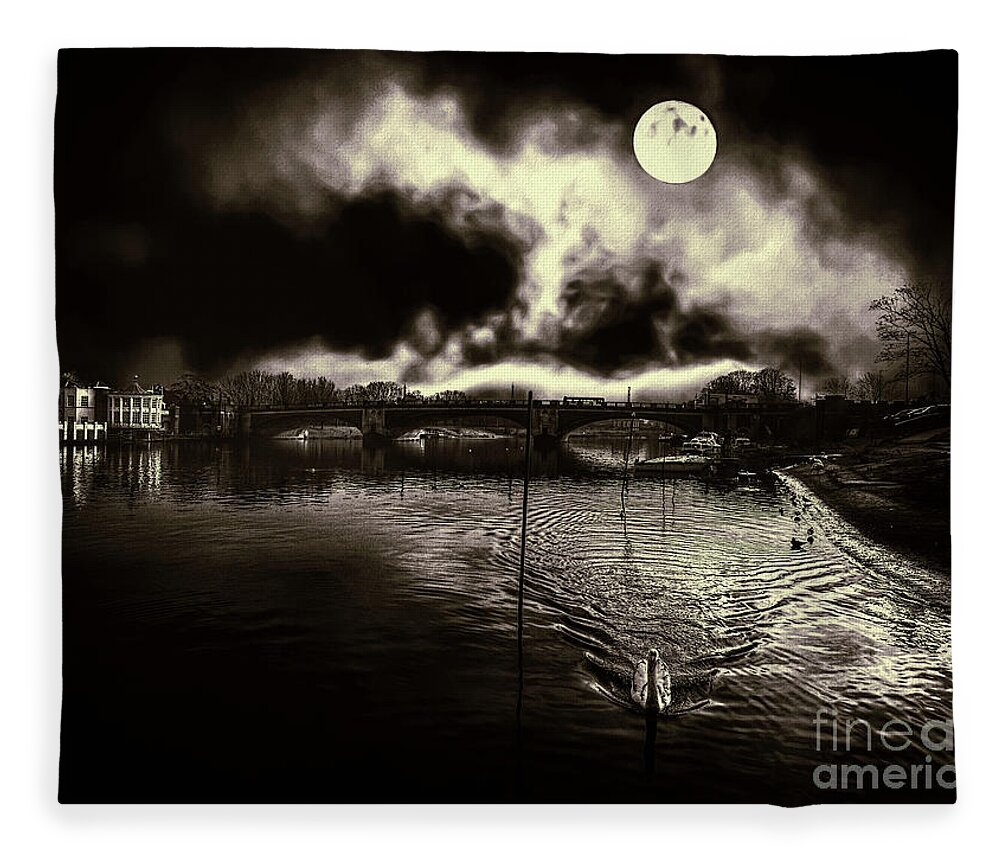 Swan Fleece Blanket featuring the photograph Un fantasme sombre by Leigh Kemp