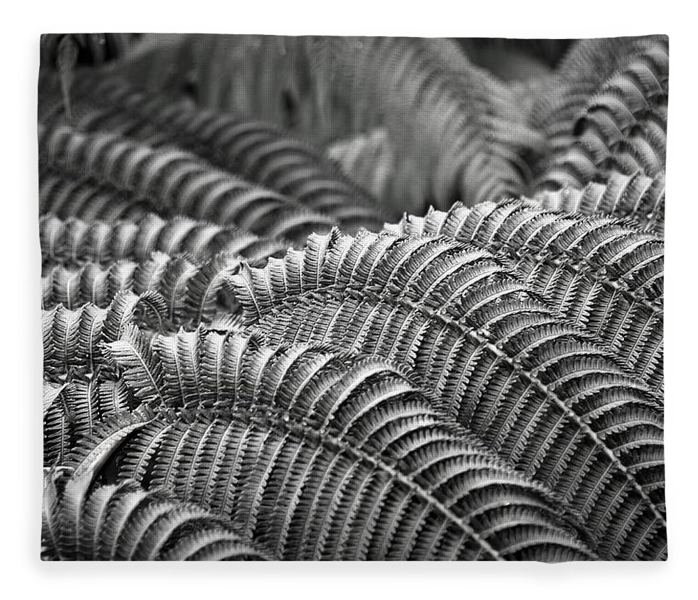 Undulation Fleece Blanket featuring the photograph Undulations by Heidi Fickinger