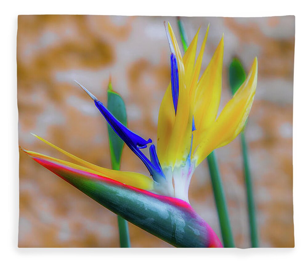 Bird Of Paradise Fleece Blanket featuring the photograph Uniquely Floral by Marcy Wielfaert