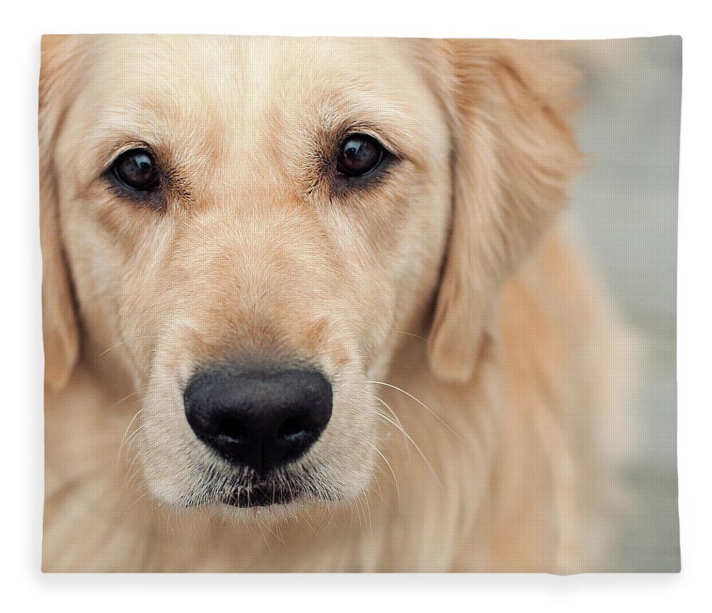 Animal Themes Fleece Blanket featuring the photograph Up Close by Jody Trappe Photography