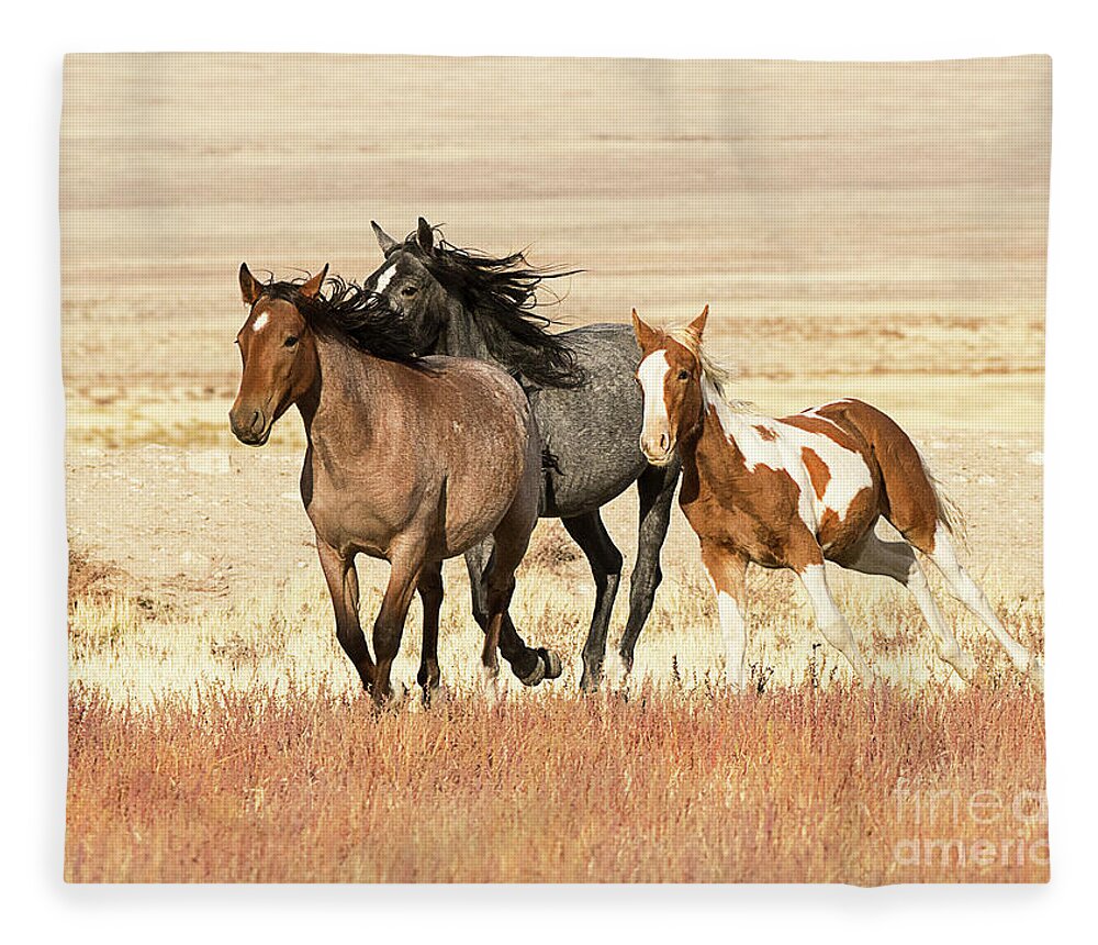Mammal Fleece Blanket featuring the photograph Utah West Desert Horses by Dennis Hammer