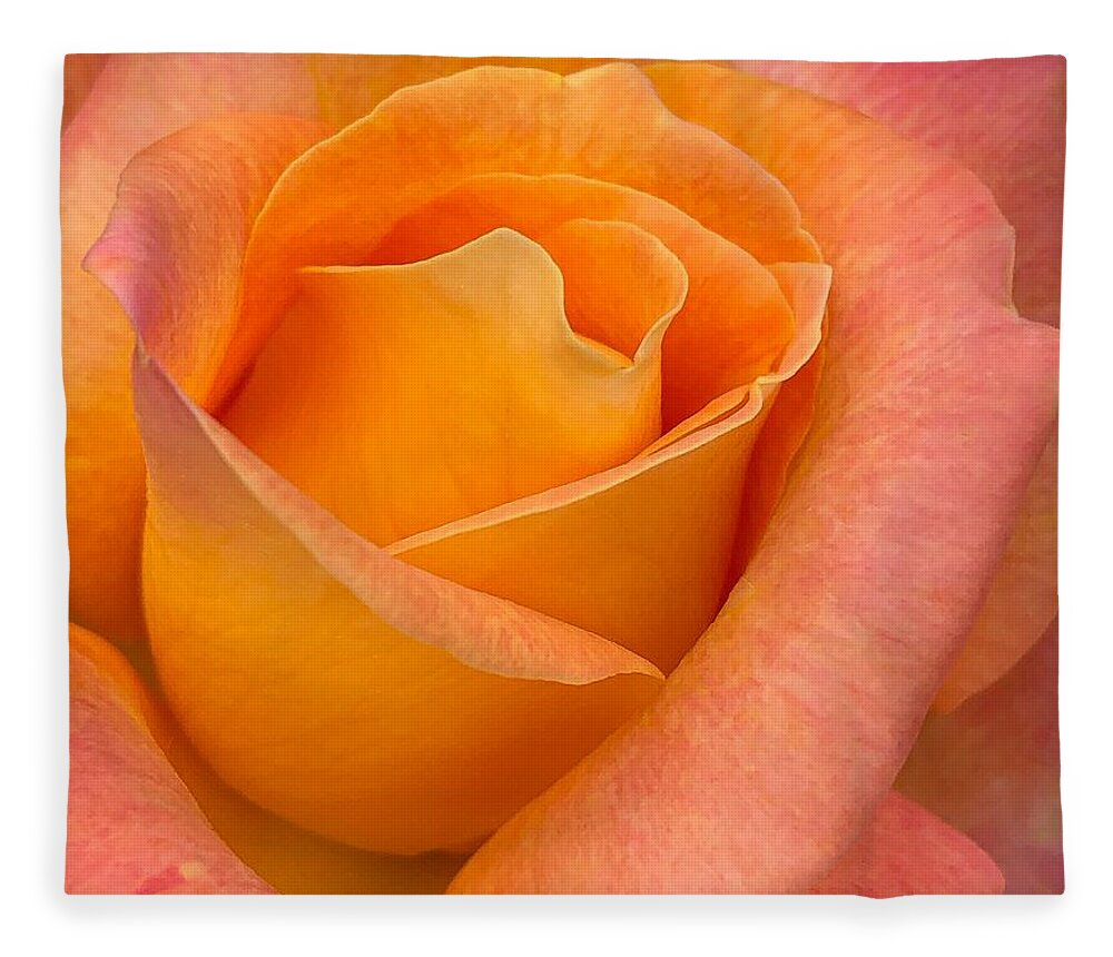 Rose Fleece Blanket featuring the photograph Vertical Rose by Anamar Pictures