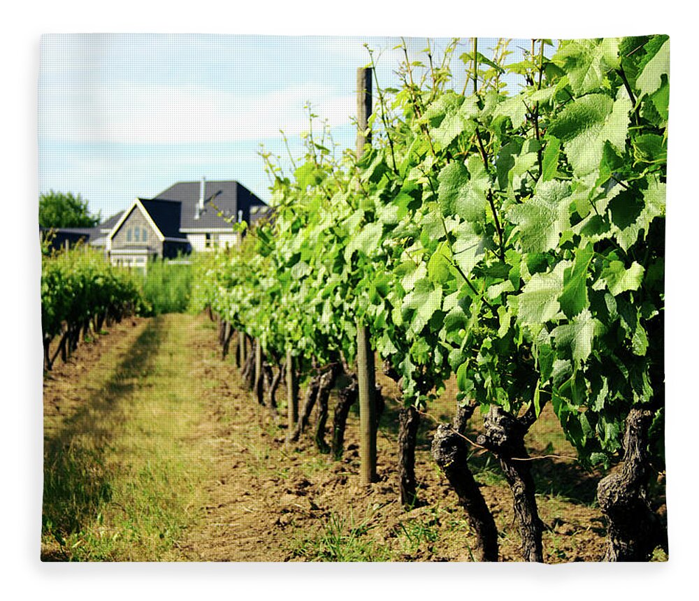 Pinot Noir Grape Fleece Blanket featuring the photograph Vineyard With Tasting Cottage by Alteryourreality
