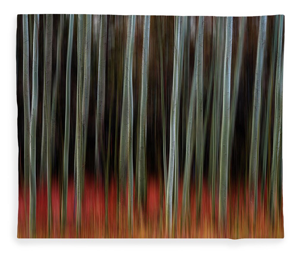 Scenery Fleece Blanket featuring the photograph Walking Into Darkness by James BO Insogna