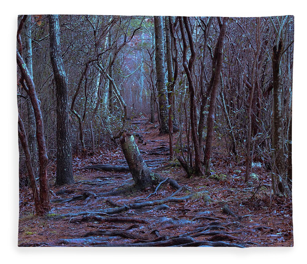 Forest Fleece Blanket featuring the photograph Walking Path by William Bretton