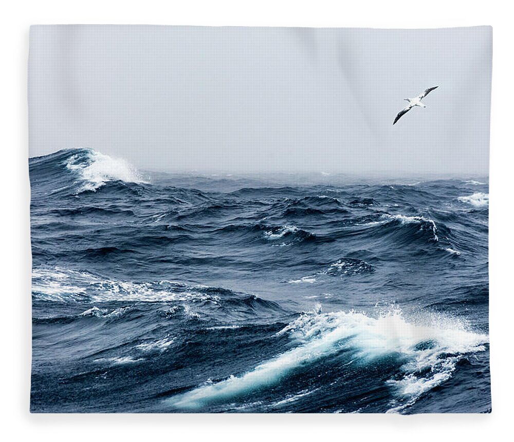Wandering Albatross Fleece Blanket featuring the photograph Wandering Albatross In Flight Over A by Mike Hill