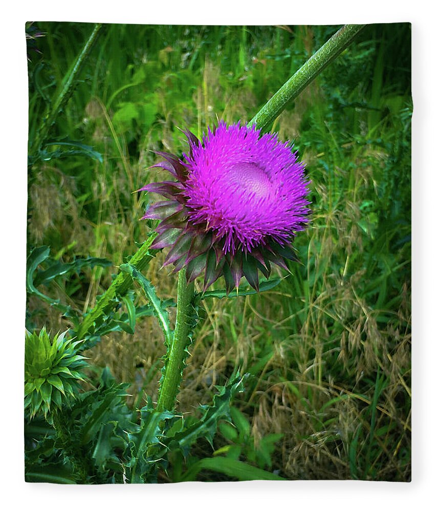 Thistle Fleece Blanket featuring the photograph Wanna Be in Scotland by Lora J Wilson