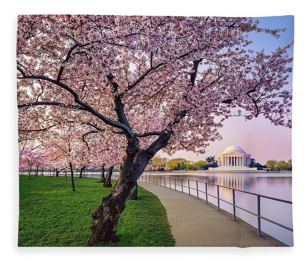 Tidal Basin Fleece Blanket featuring the photograph Washington Dc Cherry Trees, Footpath by Dszc