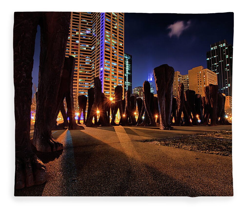 Chicago Fleece Blanket featuring the photograph Watch your Step by Raf Winterpacht
