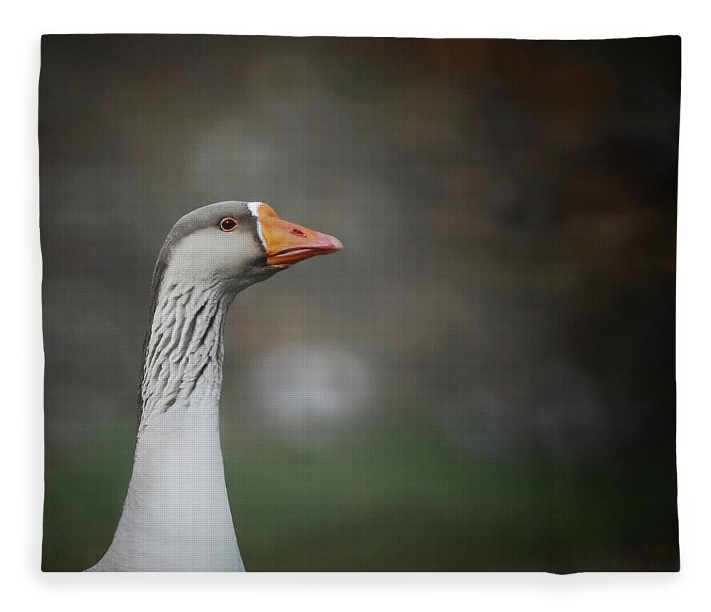  Fleece Blanket featuring the photograph Watching by DArcy Evans