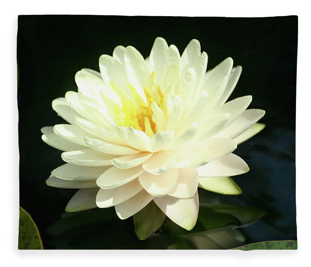 Flower Fleece Blanket featuring the photograph Water Lily by Steve Karol