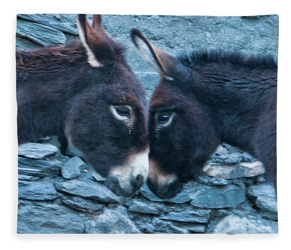 Burro Fleece Blanket featuring the photograph Eye To Eye, Nose To Nose, Heart To Heart by Leslie Struxness