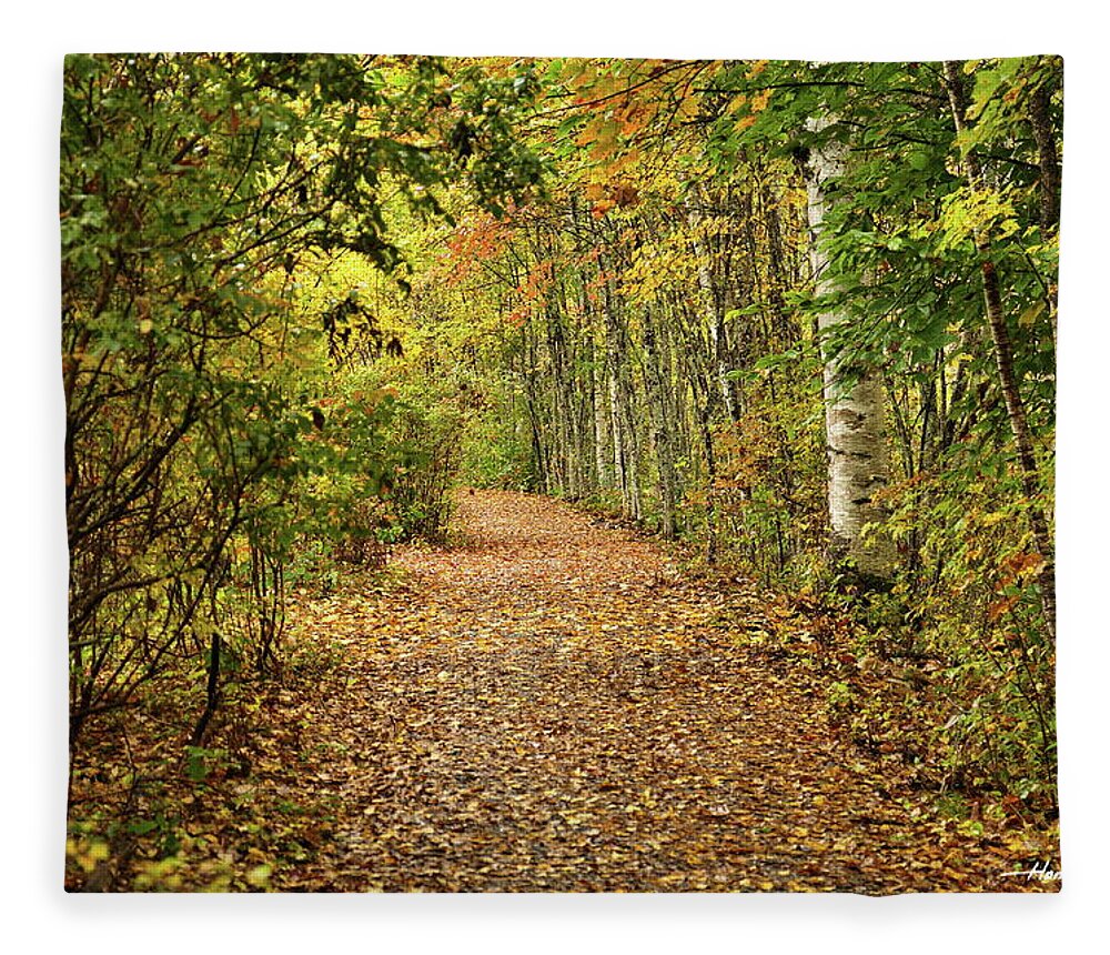 Landscape Fleece Blanket featuring the pyrography West Path by Harry Moulton