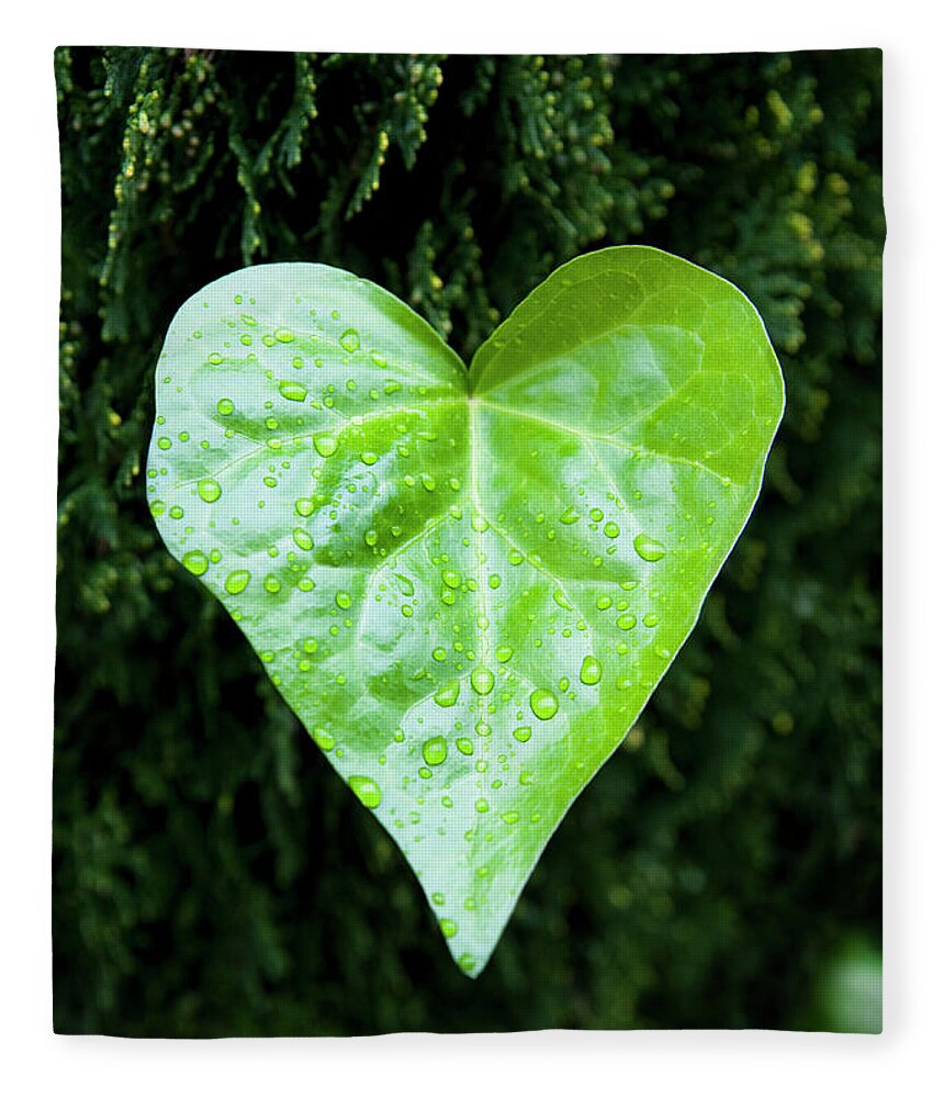 Outdoors Fleece Blanket featuring the photograph Wet Leaf In Shape Of Heart by Scott Kleinman