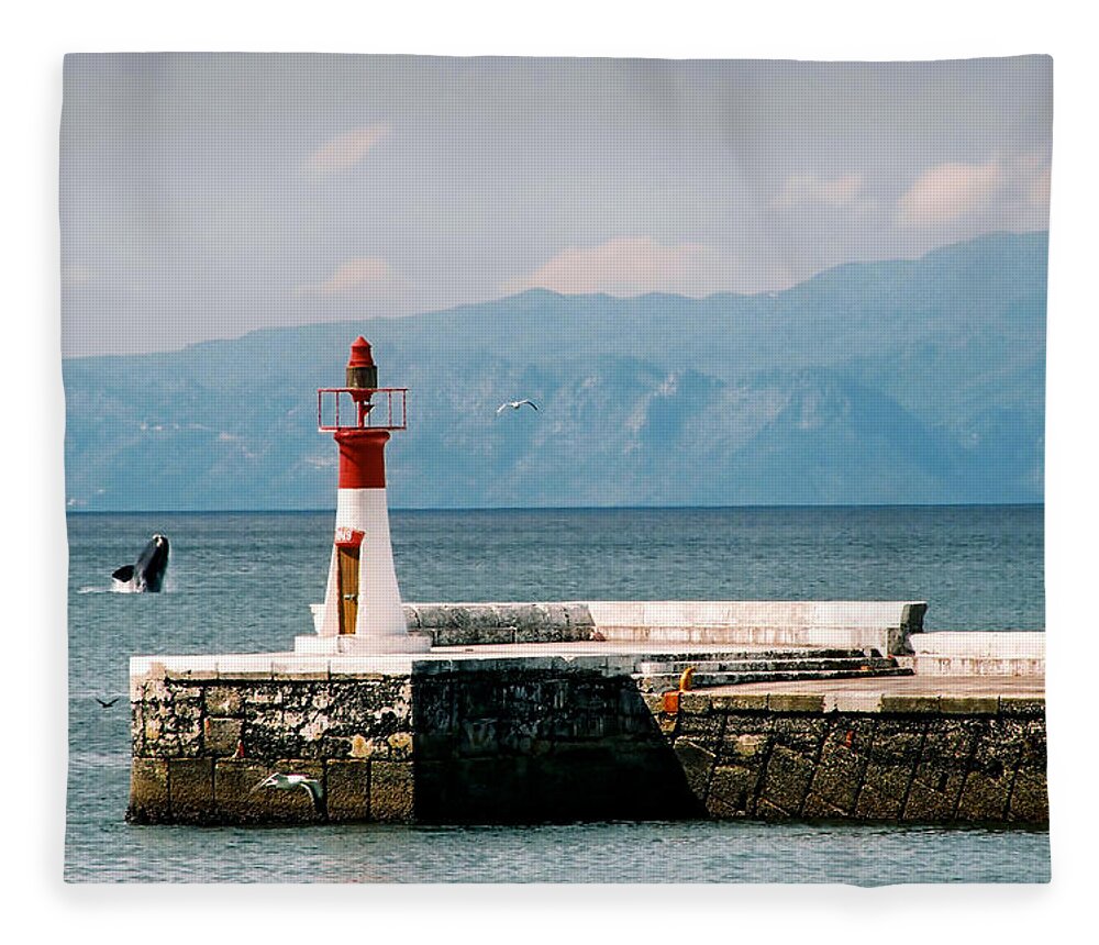 Whale Fleece Blanket featuring the photograph Whale Breaching by Andrew Hewett